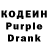 Кодеин Purple Drank Roka kz